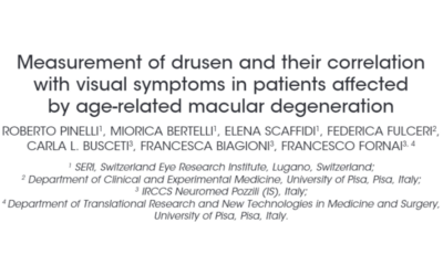 Measurement of drusen and their correlation with visual symptoms in patients affected by age-related macular degeneration
