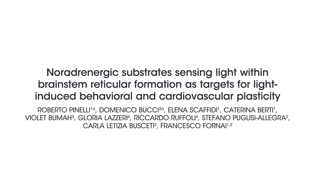 Noradrenergic substrates sensing light within brainstem reticular formation as targets for light- induced behavioral and cardiovascular plasticity