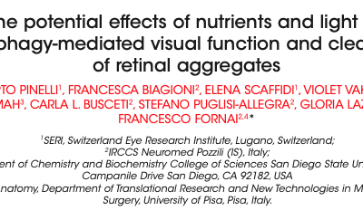 The potential effects of nutrients and light on autophagy-mediated visual function and clearance of retinal aggregates