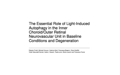 The Essential Role of Light-Induced Autophagy in the Inner Choroid/Outer Retinal Neurovascular Unit in Baseline Conditions and Degeneration